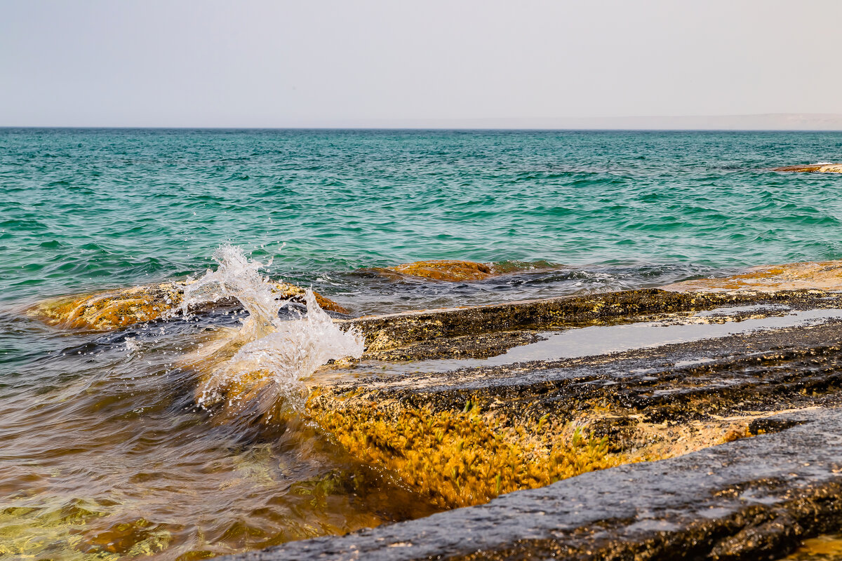 Казахстан.Актау. Каспий. - Андрей Щукин