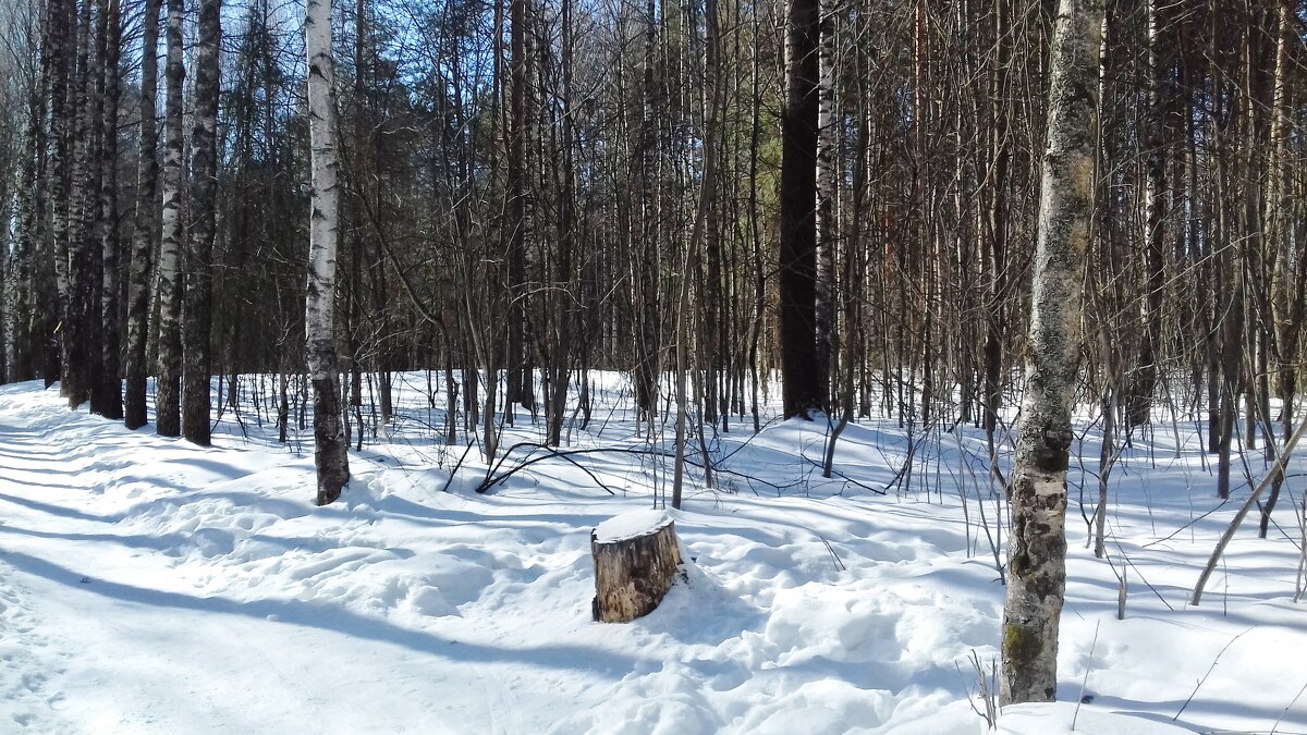 пейзаж - Владимир 