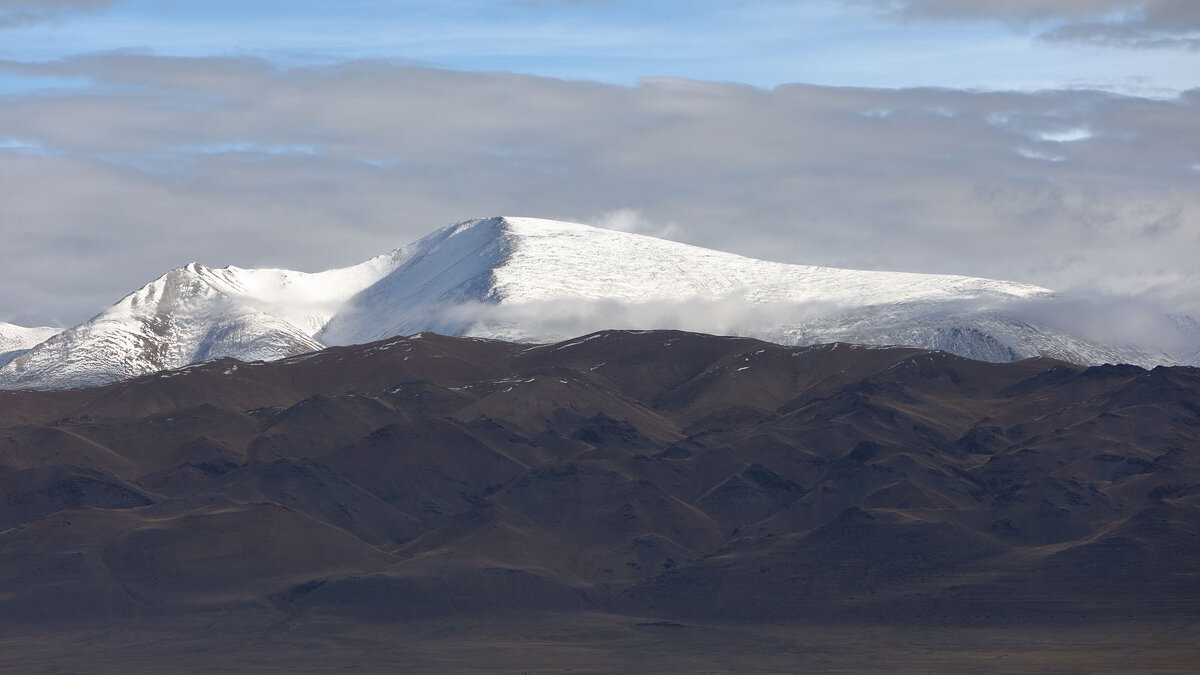 Контрасты... - владимир 
