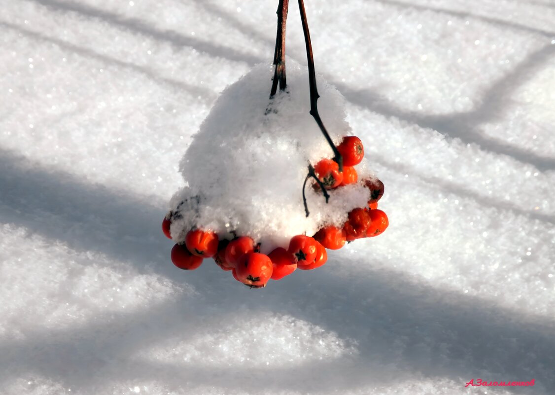 О зимней классике... - Андрей Заломленков О зимней классике... - Андрей Заломленков