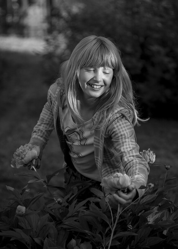 Пионы - Владимир Носов