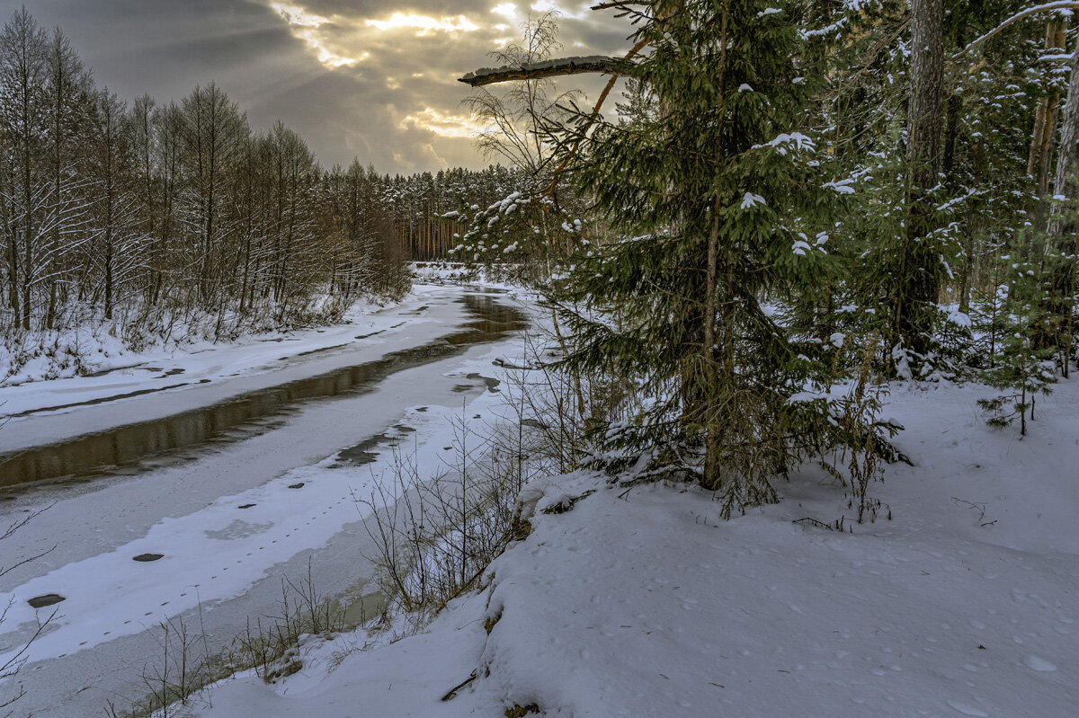 Зима. - Александр Иванович Шитов