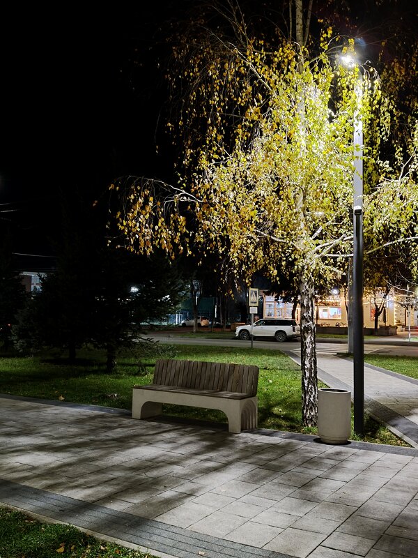 Вечерняя прогулка...Сквер, любимое место для прогулки.... - tatyana 