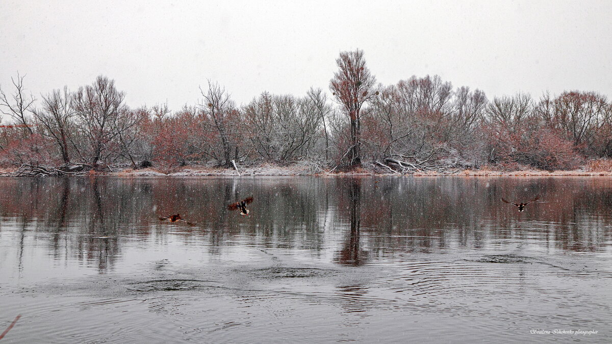 Новы Двур Мазовецки р. Нарев - Светлана Ищенко