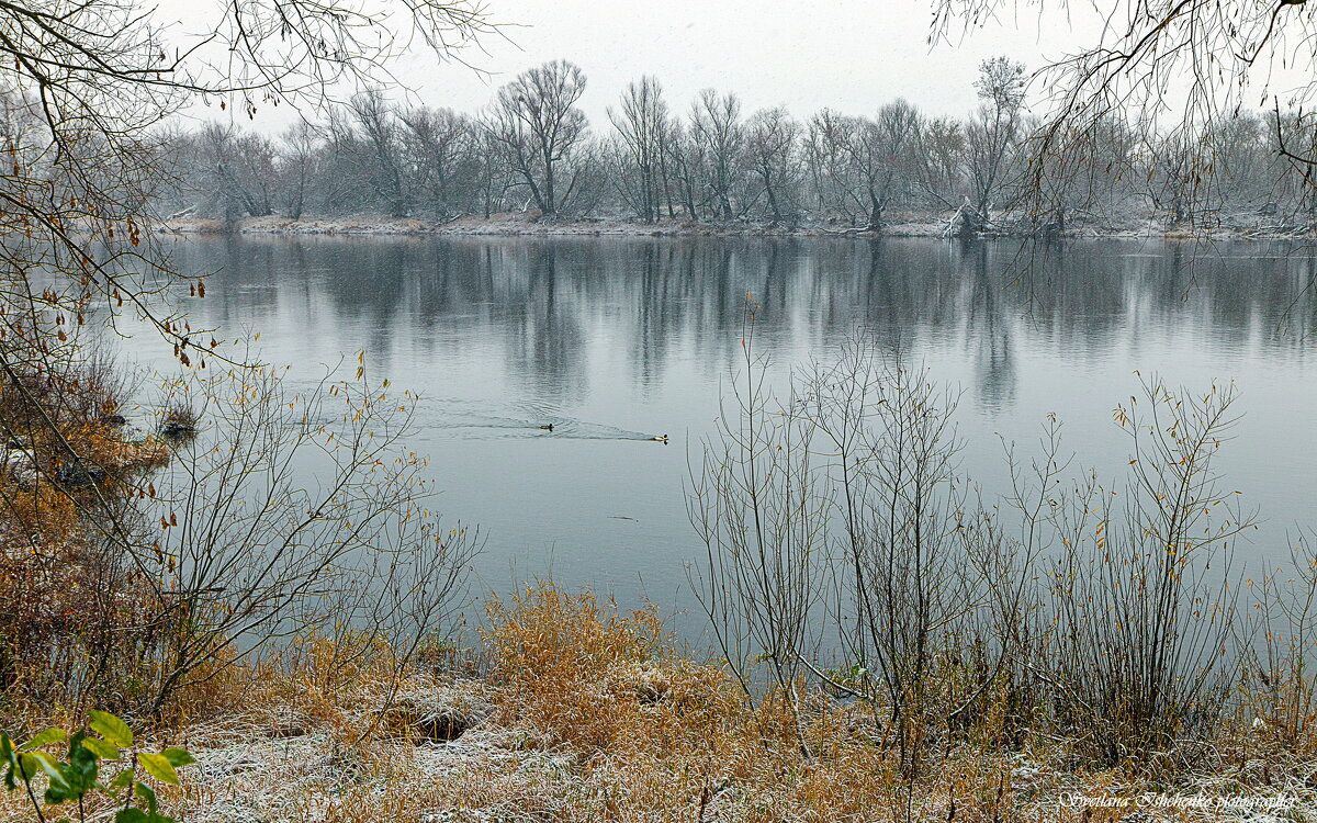 Новы Двур Мазовецки р. Нарев - Светлана Ищенко Новы Двур Мазовецки р. Нарев - Светлана Ищенко