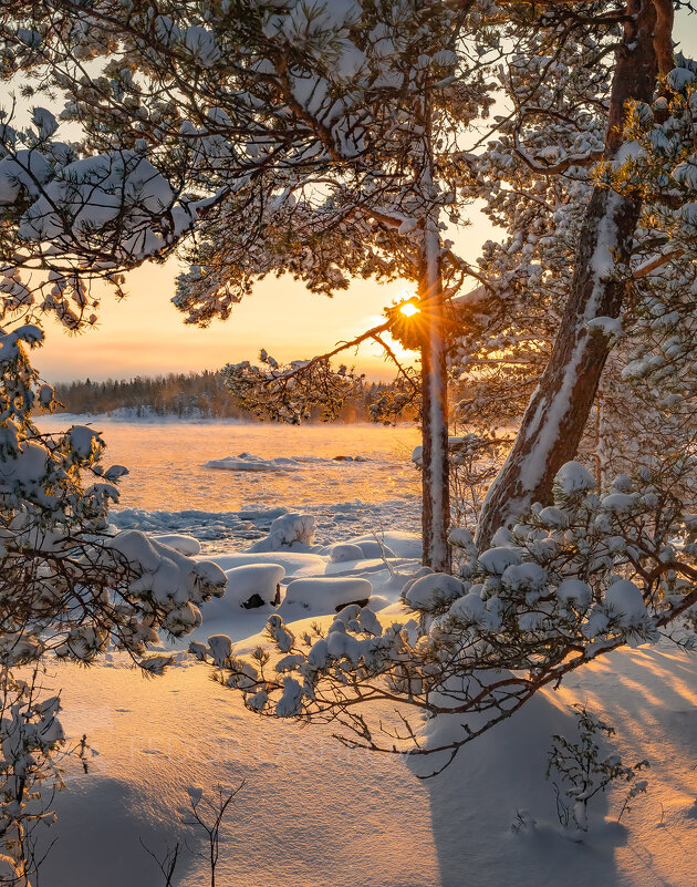 Для настроения - Фёдор. Лашков