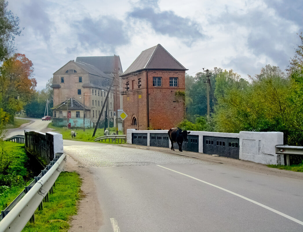 Правильный пешеход! - Сергей Карачин Правильный пешеход! - Сергей Карачин