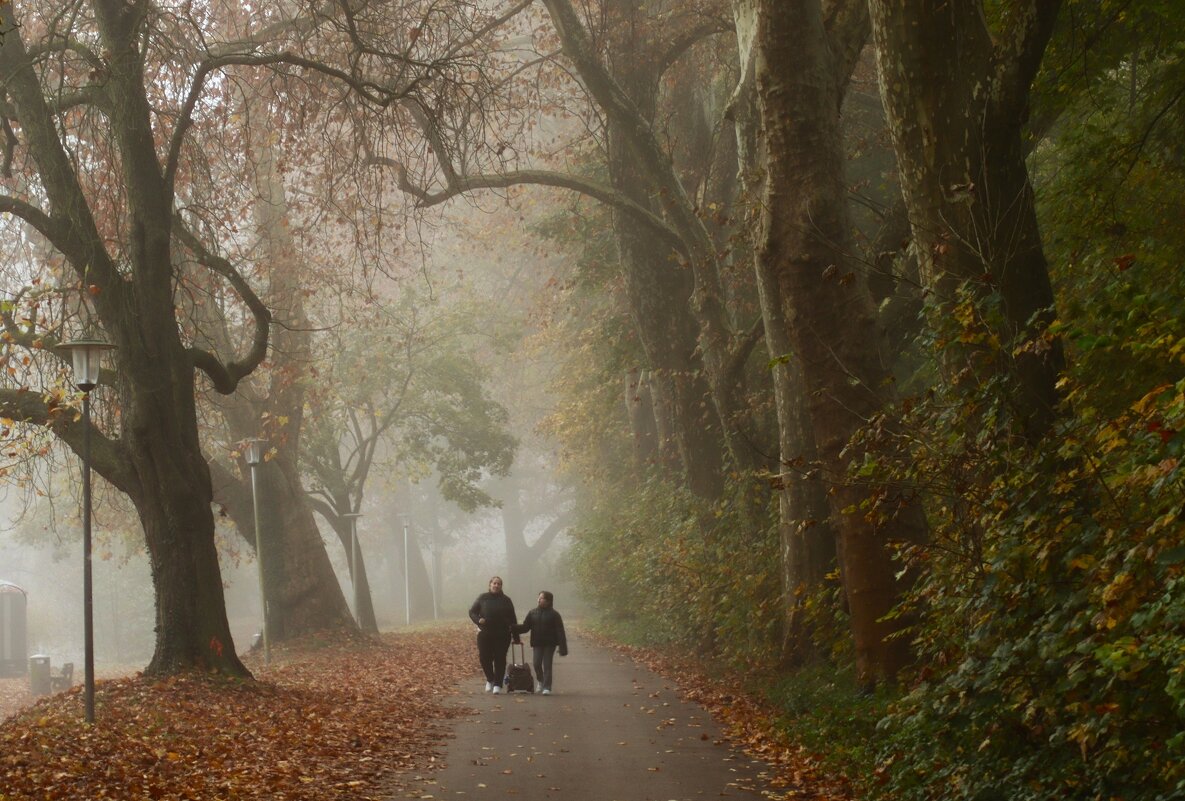Среди вековых платанов - Юрий. Шмаков Среди вековых платанов - Юрий. Шмаков
