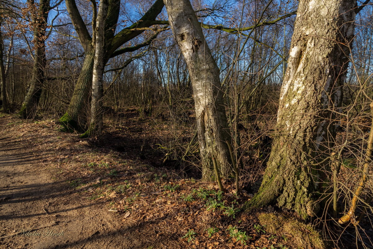 У заповедной границы... - Николай Гирш У заповедной границы... - Николай Гирш