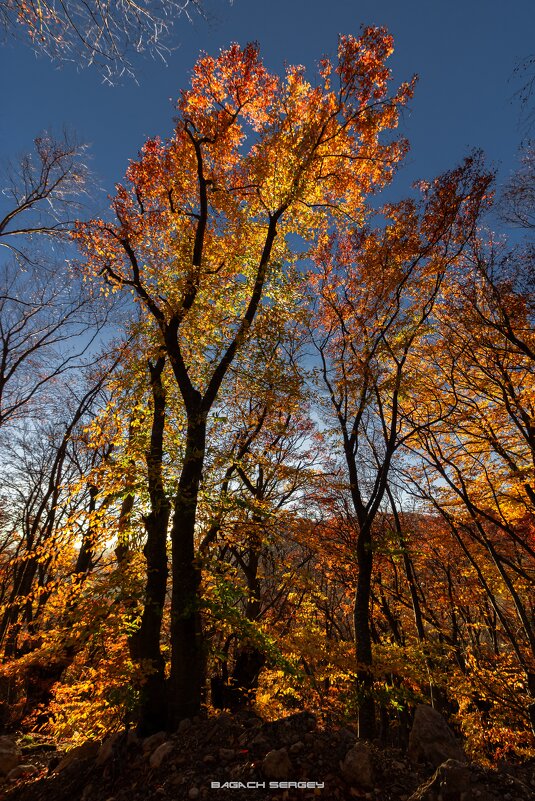 ОСЕНЬ ДЕМЕРДЖИ - Sergey Bagach