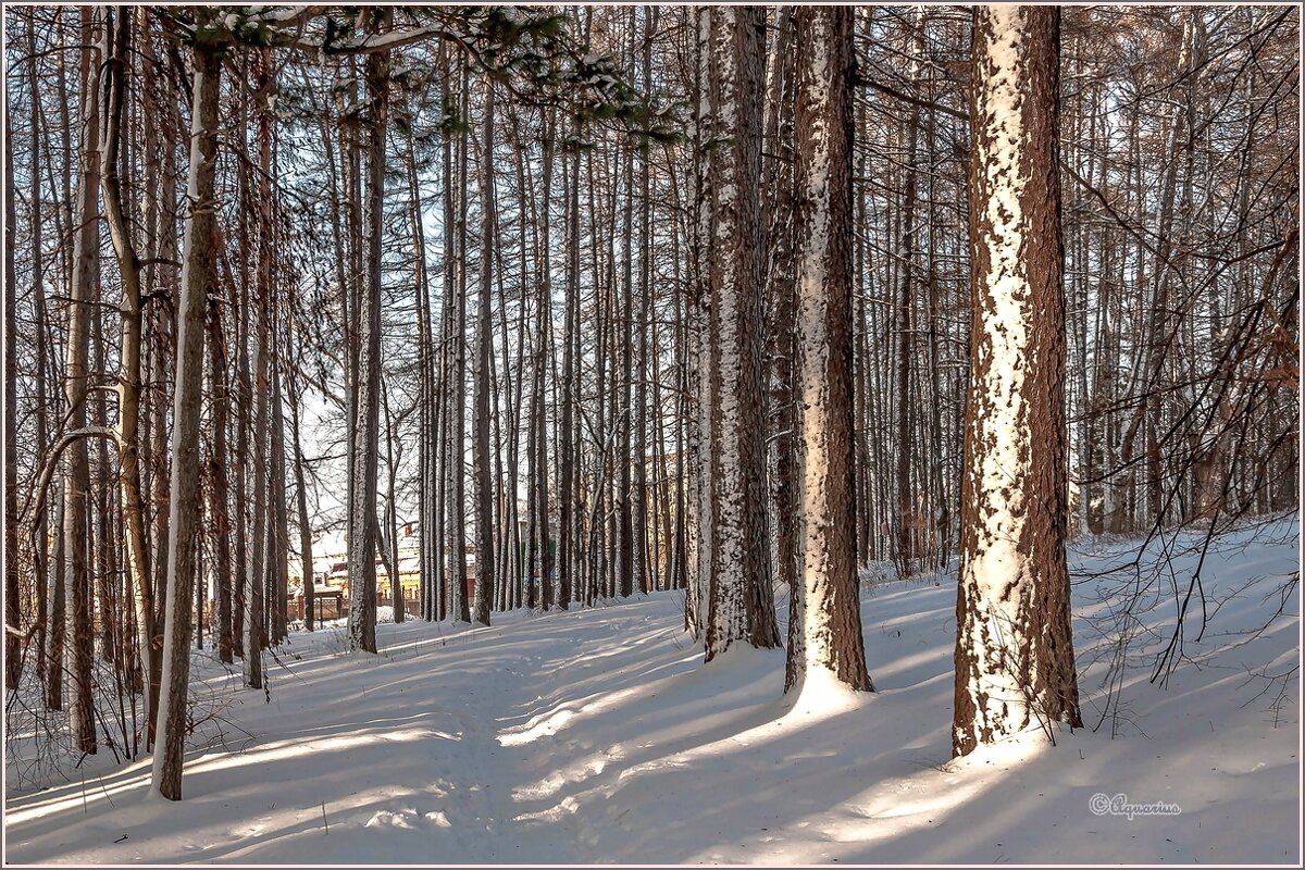 Про парк - Aquarius - Сергей Про парк - Aquarius - Сергей