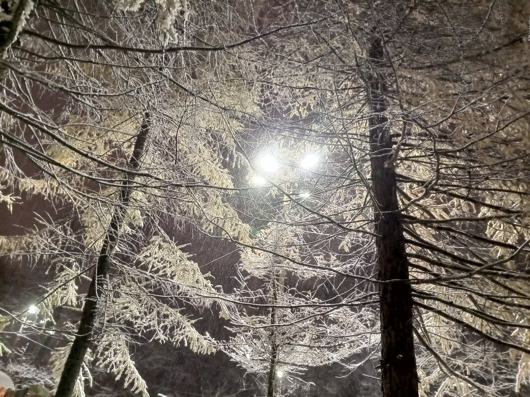 Лиственница - Сапсан Лиственница - Сапсан