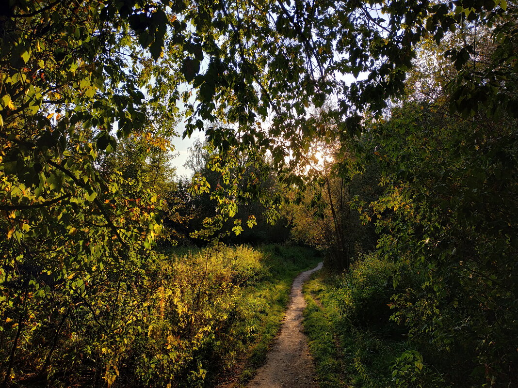 А почему бы и не вспомнить?! - Андрей Лукьянов А почему бы и не вспомнить?! - Андрей Лукьянов