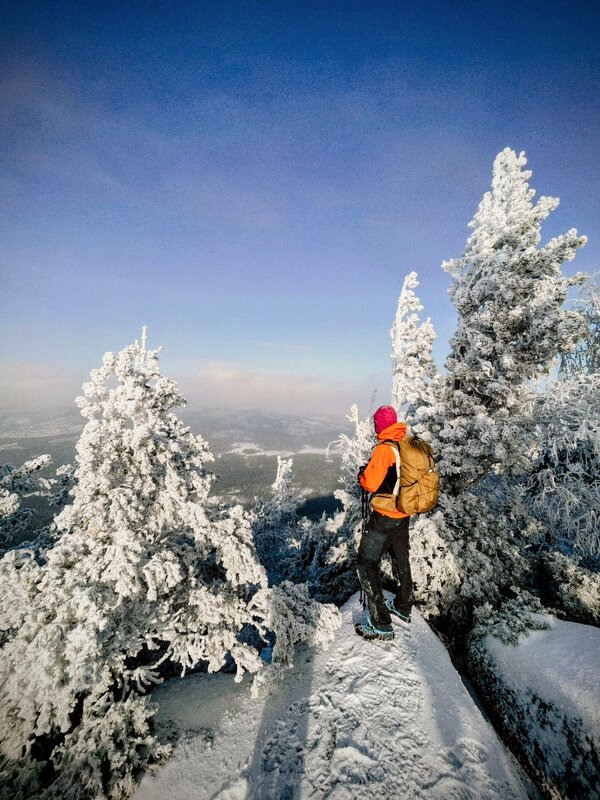 Зима в горах - Георгиевич 