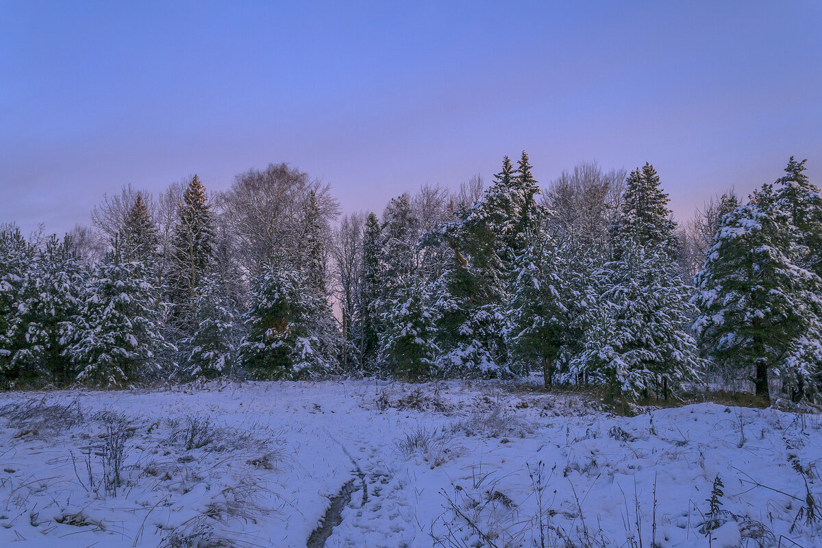 Предрассветное - Сергей Цветков