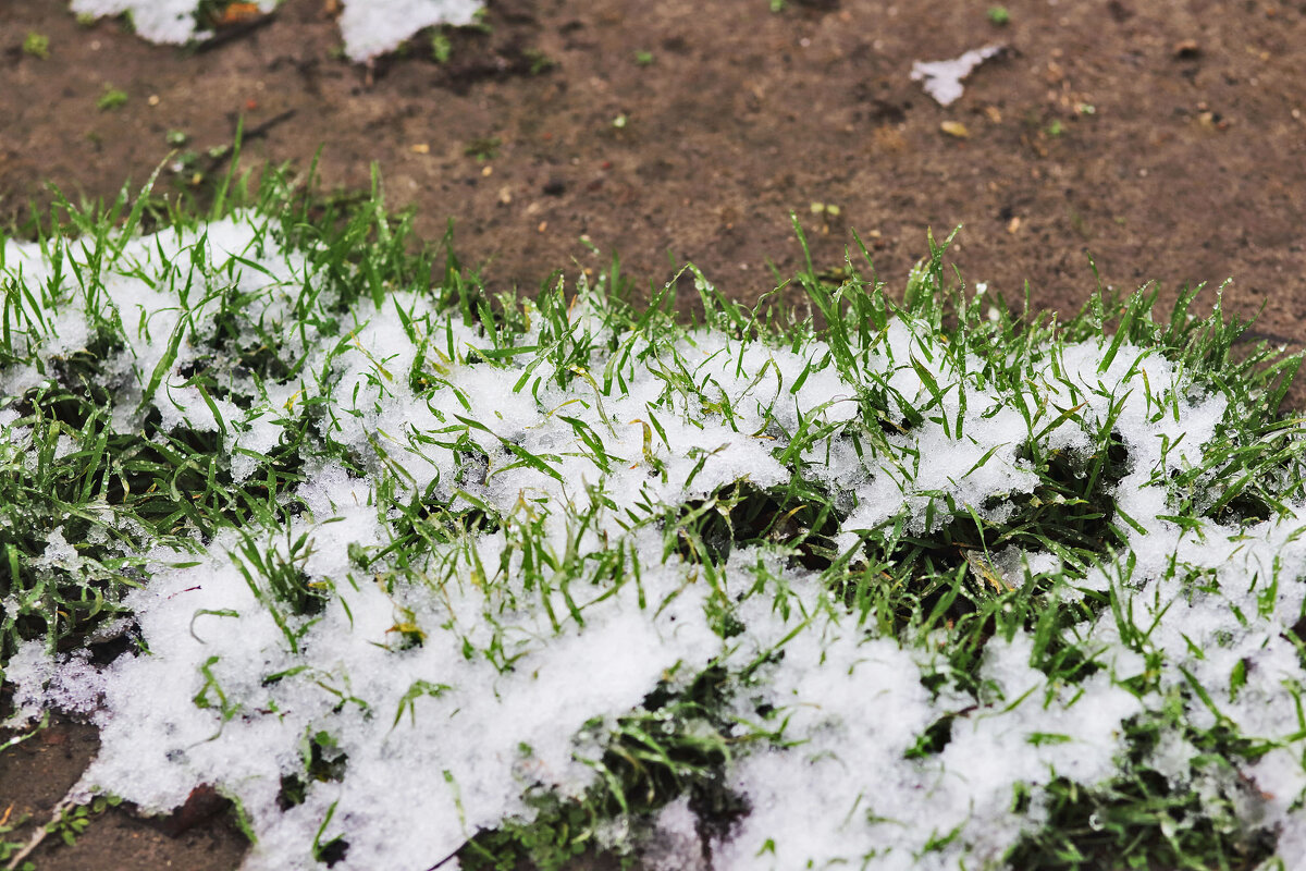 Белое и зелёное - Юрий Гайворонскiий