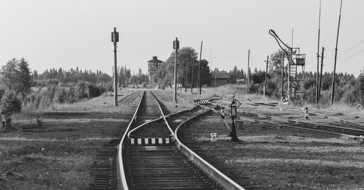 Каждый сам выбирает свой путь. - Андрей Неуймин