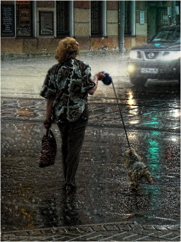 «Застигнутые дождём» - Станислав Лебединский