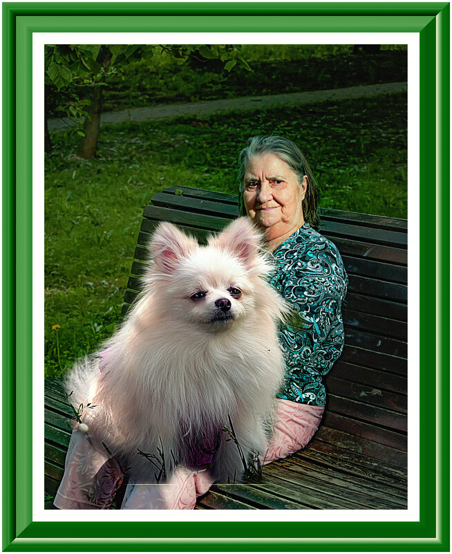 Дама с собачкой - Владимир Кроливец