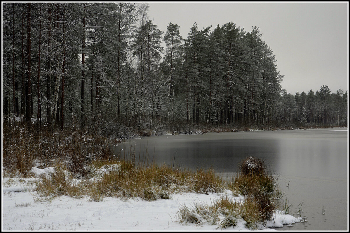 Декабрь - Aleksandr Gal