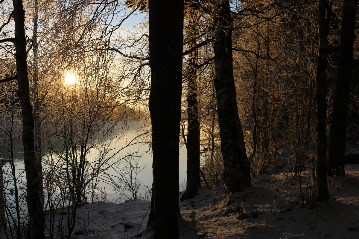 Чародейкою Зимою оклдован, лес стоит... - Ольга 