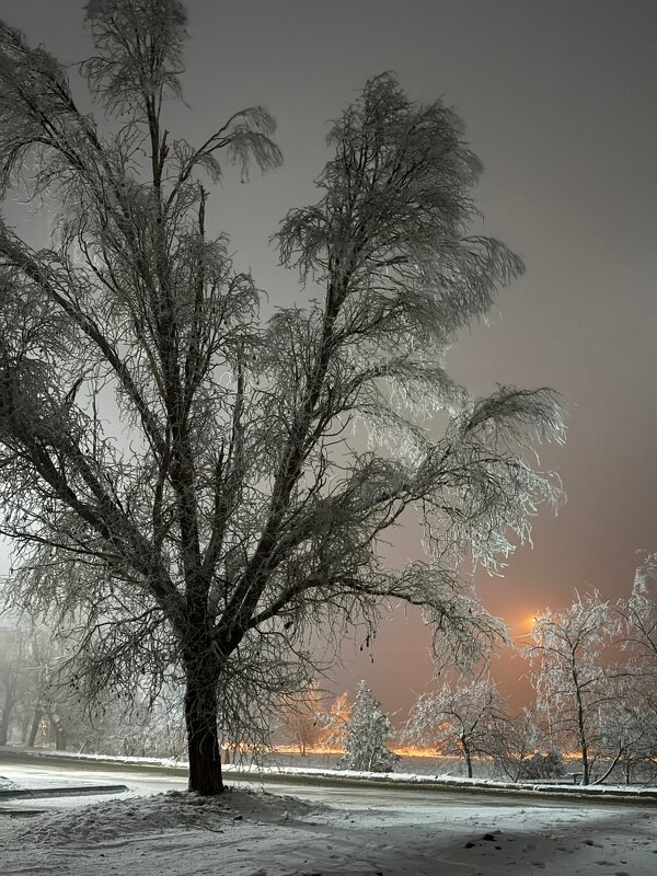 *** - Яна Горбунова