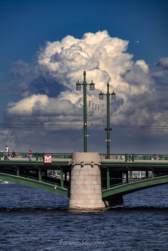 Туча - Вениамин Скородумов