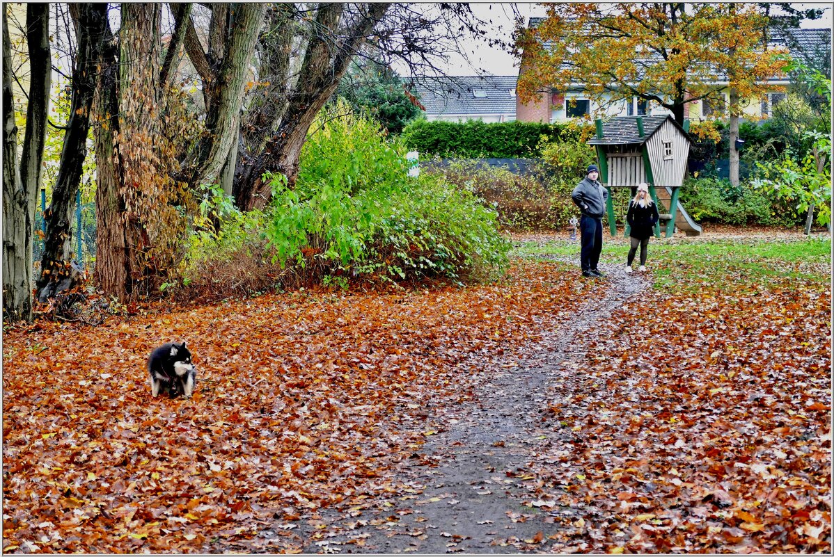 НА ПРОГУЛКЕ... - Elvira E. 