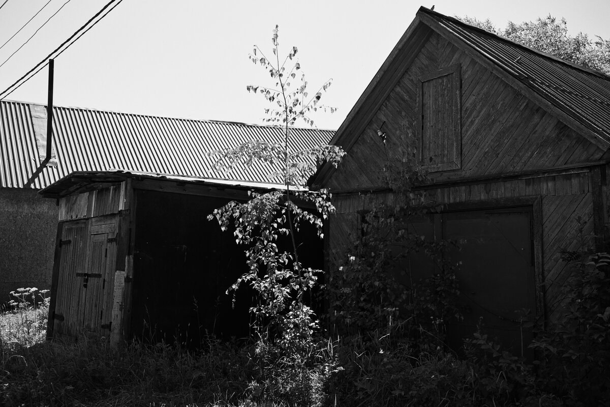 Фотография - Денис Безногов