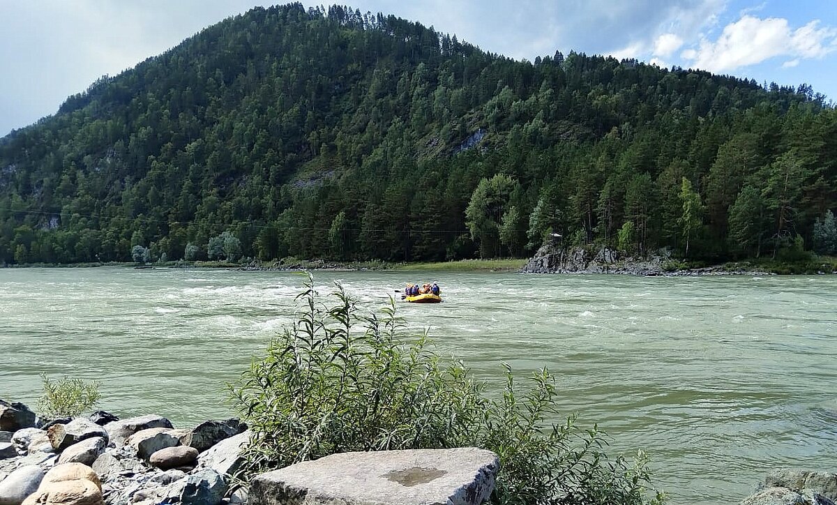 Рафтинг на Катуни . - Мила Бовкун