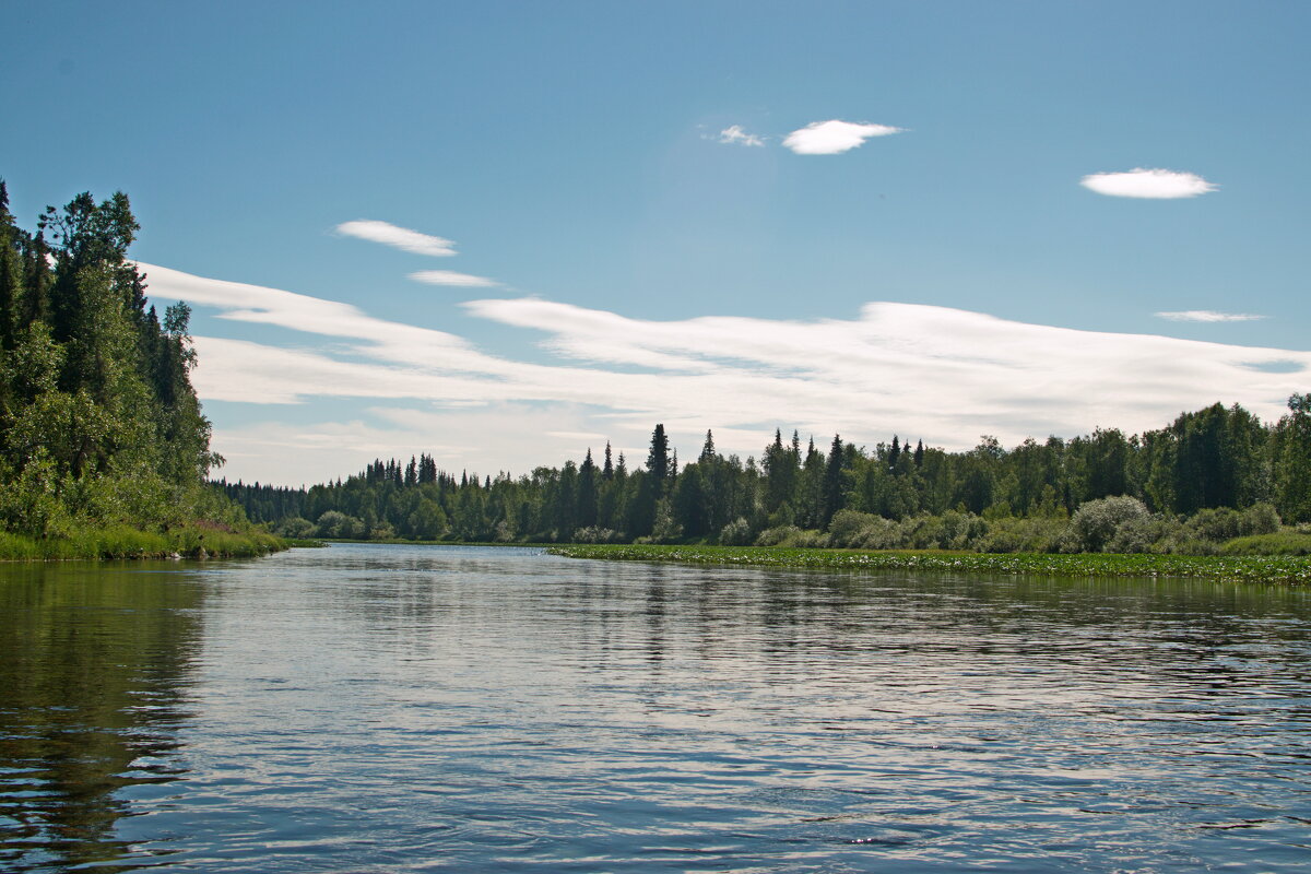 Облака над рекой. - ВикТор Быстров Облака над рекой. - ВикТор Быстров