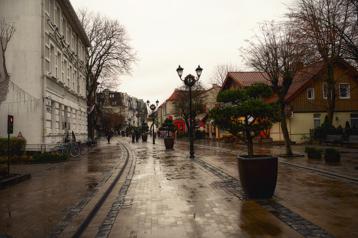 Прусская архитектура - Лилия . Прусская архитектура - Лилия .