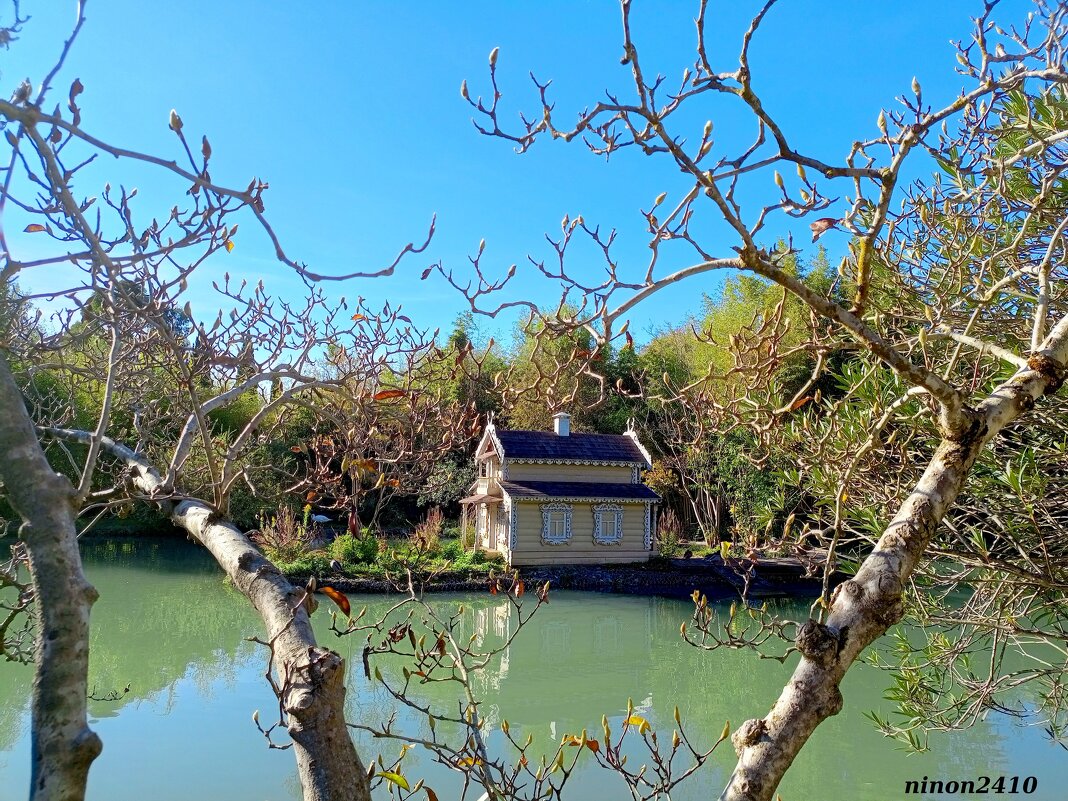 Адлер. Дендропарк "Южные культуры" - Нина Бутко Адлер. Дендропарк "Южные культуры" - Нина Бутко