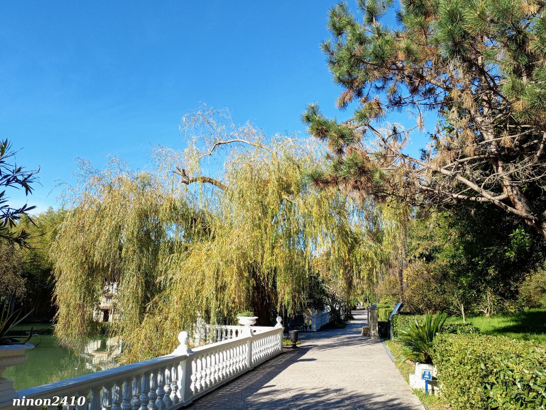 Адлер. Дендропарк "Южные культуры" - Нина Бутко Адлер. Дендропарк "Южные культуры" - Нина Бутко