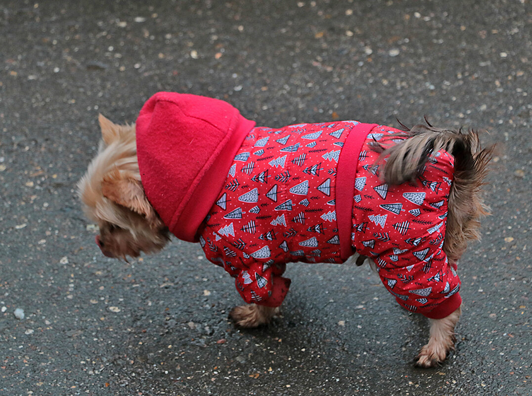 Упакован по полной программе - Светлана Упакован по полной программе - Светлана