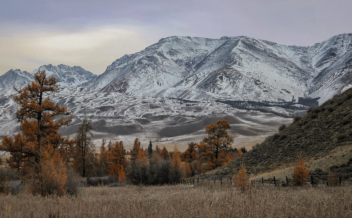 Курайский хребет осенью - елена беликова Курайский хребет осенью - елена беликова