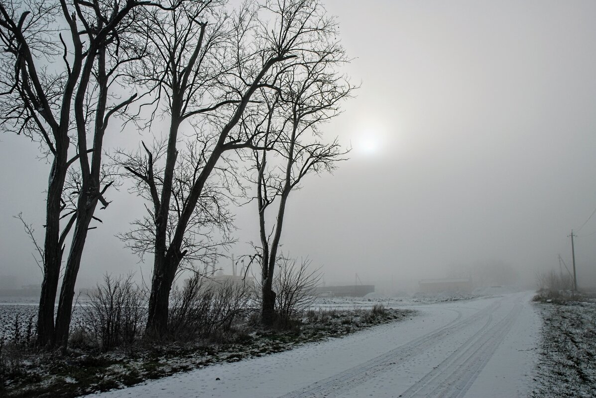 Утро. Декабрь. - Владимир 