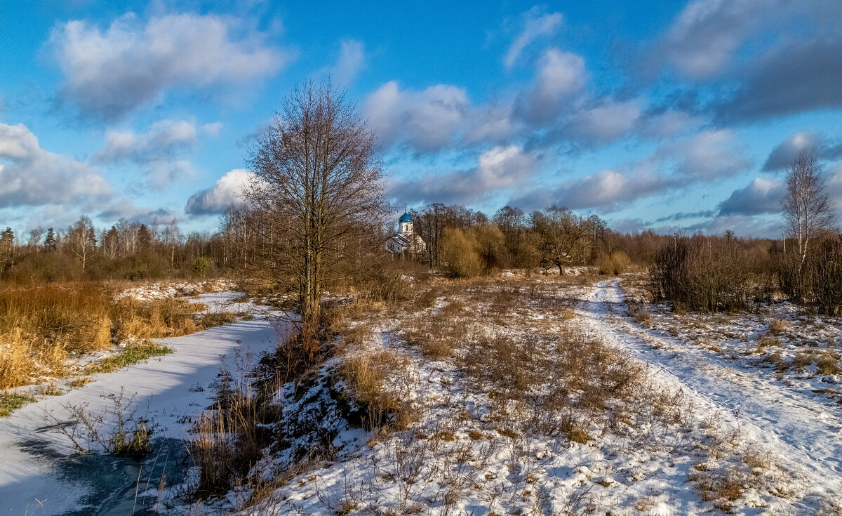 Подмосковный декабрь 7 - Андрей Дворников Подмосковный декабрь 7 - Андрей Дворников