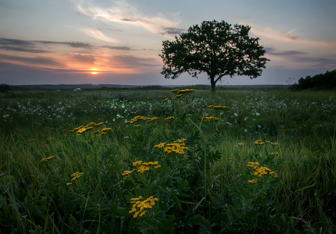 Вспоминая лето - Ирина 