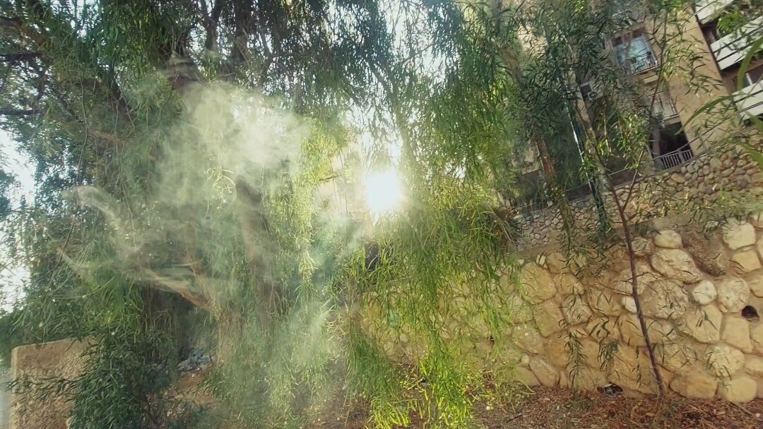 13  ОПЕН (743) - OPEN WAYS ALL