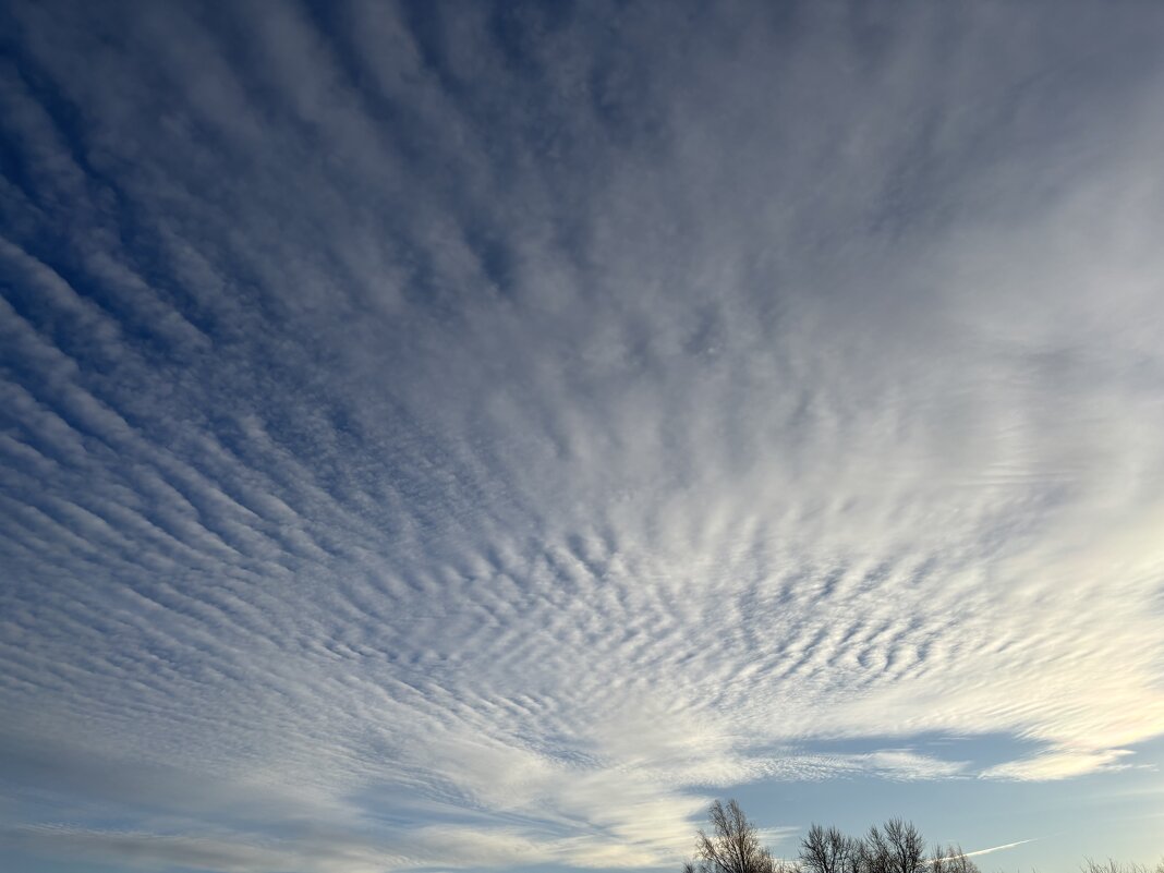 Раз полоска, два полоска… - Ольга Савельева Раз полоска, два полоска… - Ольга Савельева