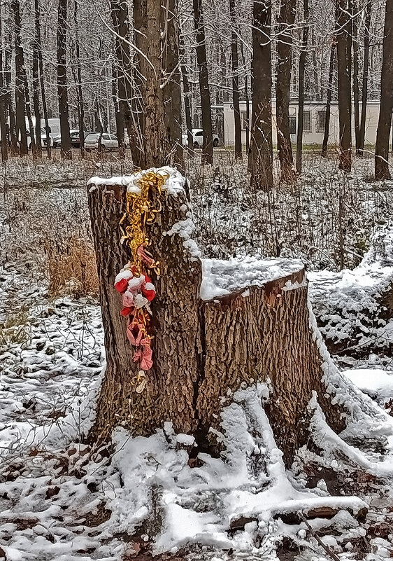 В гостях у... Лешего! - Валентина Нефёдова В гостях у... Лешего! - Валентина Нефёдова