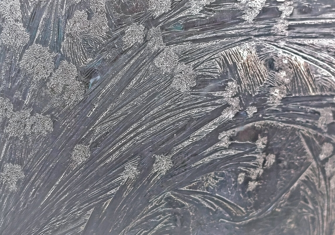 Цветы от Деда Мороза. - Валентина Нефёдова Цветы от Деда Мороза. - Валентина Нефёдова