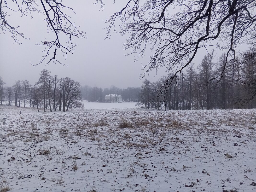 Туман - Сапсан 