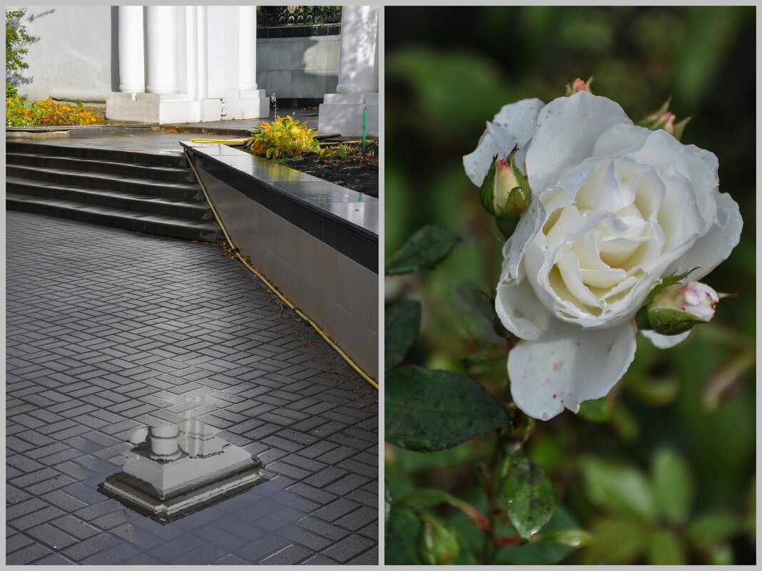 После дождя - Татьяна Машошина После дождя - Татьяна Машошина