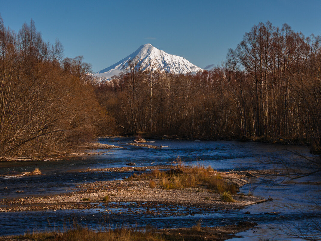... - Жора Житников ... - Жора Житников