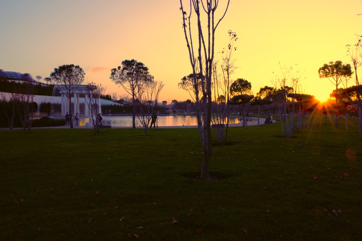 Что, то хочиться слонов! - Юрий Полторыхин. Что, то хочиться слонов! - Юрий Полторыхин.