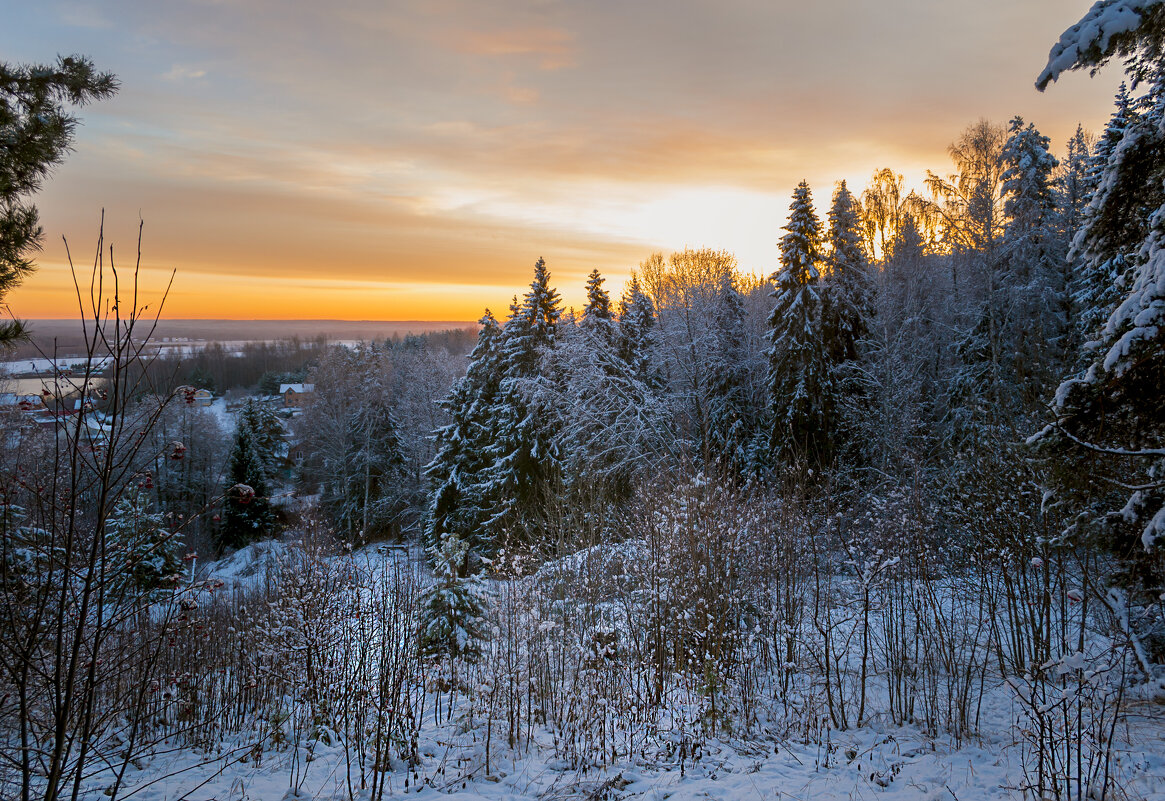 Светает - Сергей Цветков Светает - Сергей Цветков