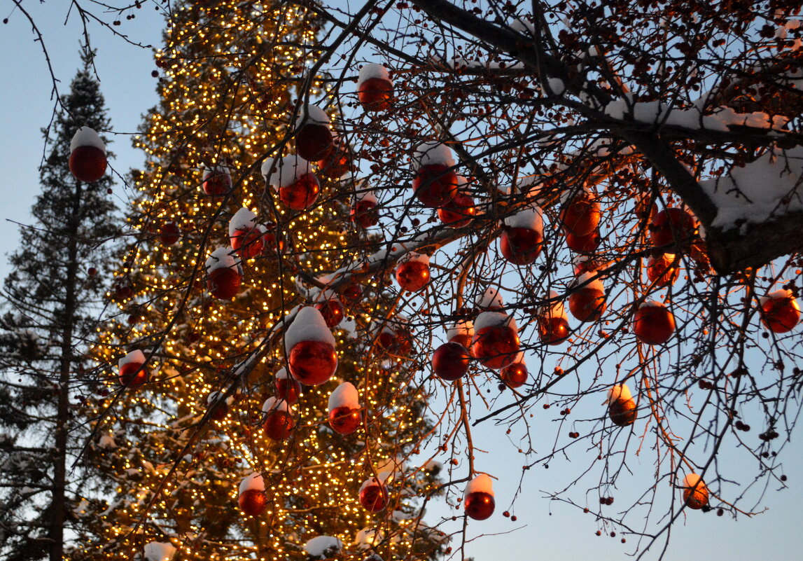 Близится праздник - Татьяна Лютаева Близится праздник - Татьяна Лютаева