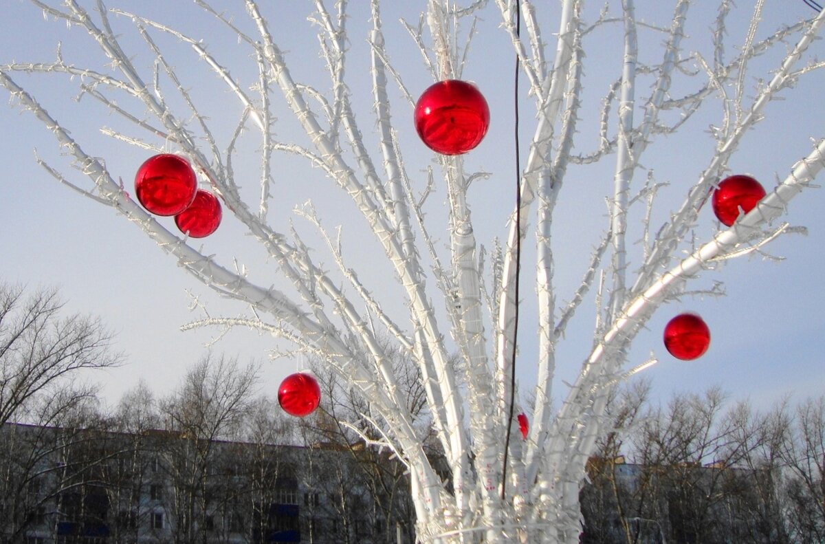 зимние яблоки... - Галина Флора зимние яблоки... - Галина Флора